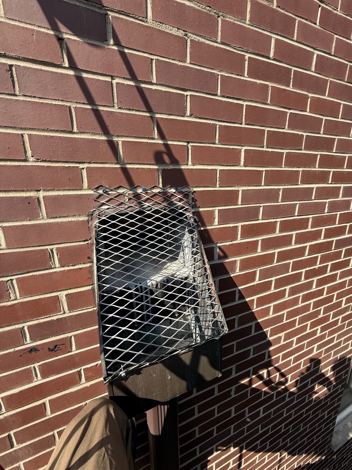 Expanded stainless mesh gutter and downspout screen seen from above, Old Town, Chicago