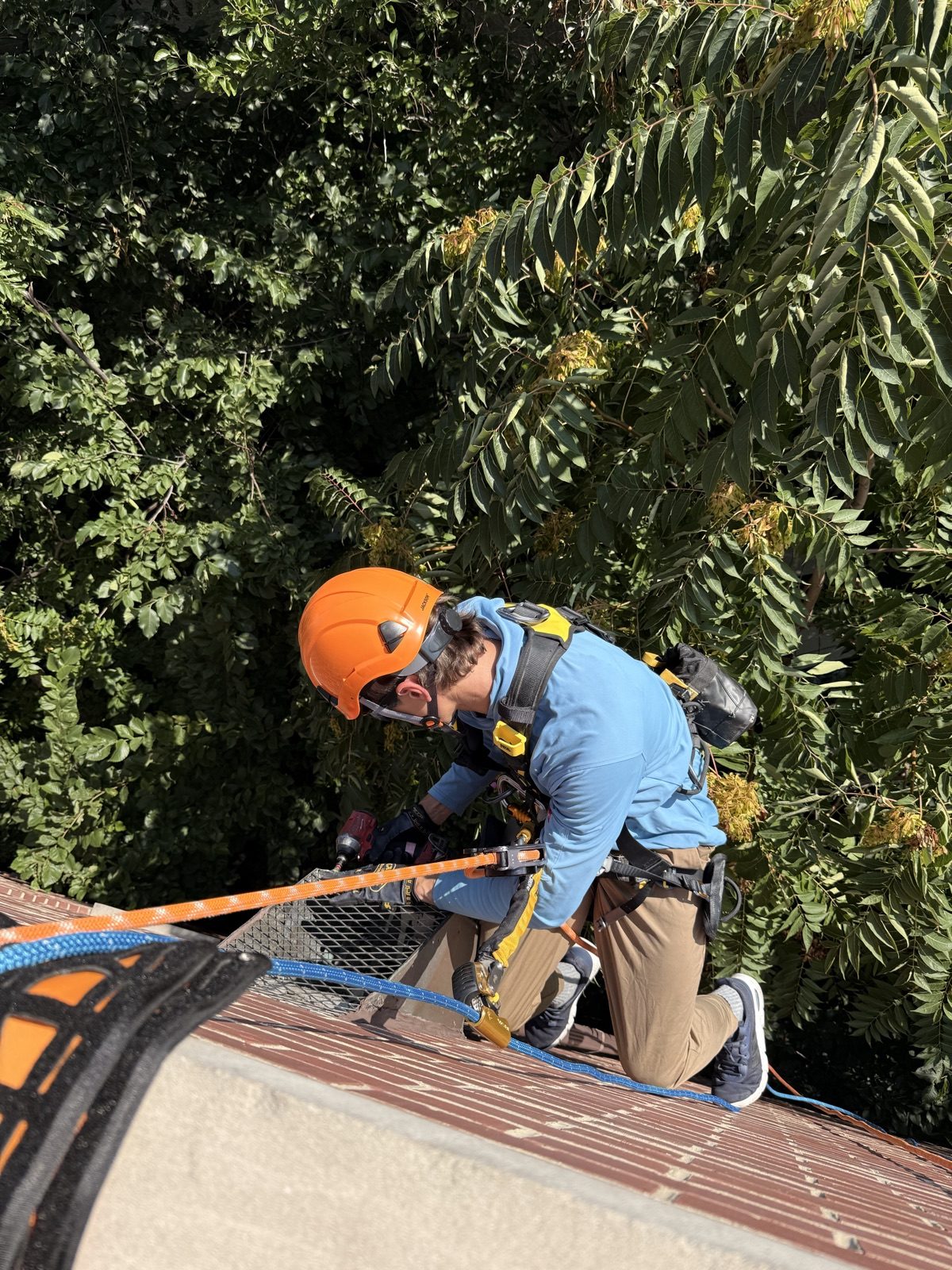 Pigeon proofing a fourth-floor downspout by rope access in Chicago