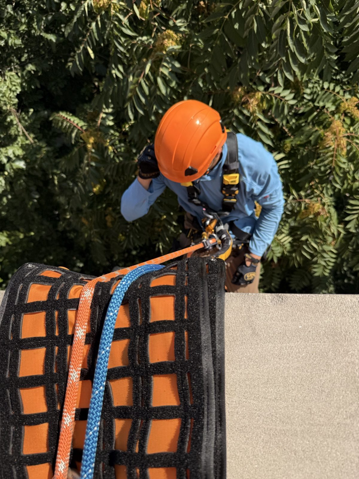 Rope protected at the roof edge as a technician begins a descent, Near North Side, Chicago