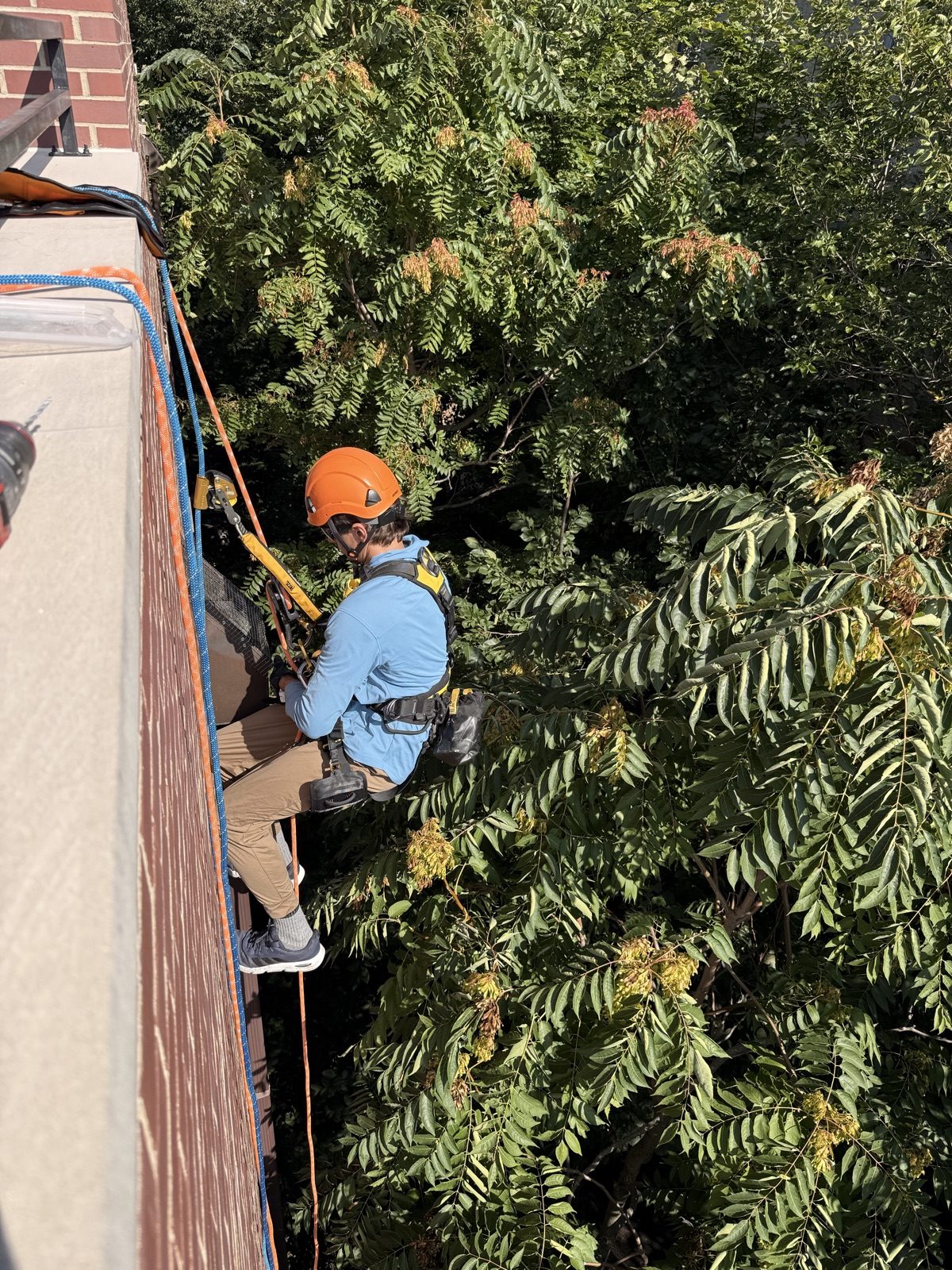 Rope access rigging over a parapet with padded edge protection, Old Town, Chicago