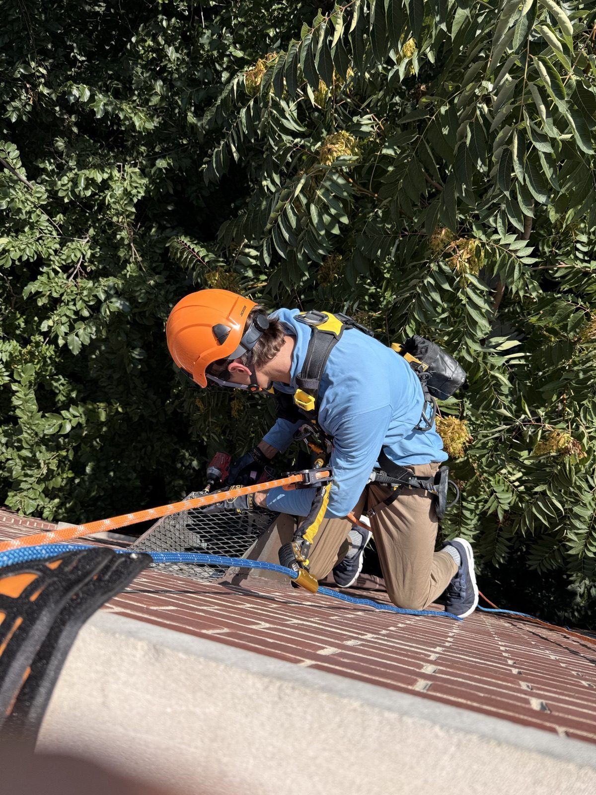 Controlled rope descent down a four-story building in Old Town, Chicago