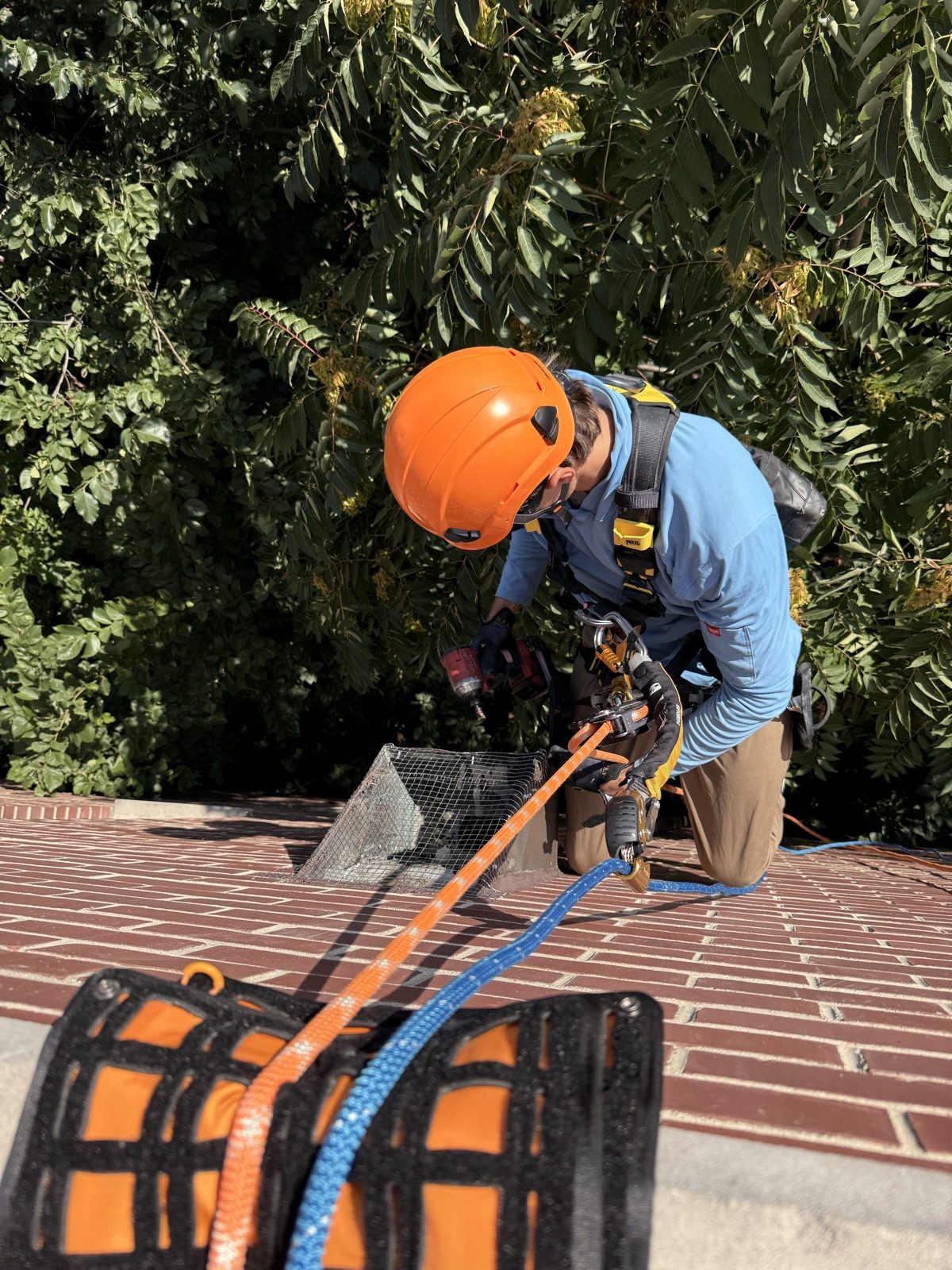 Rope access technician descending toward a fourth-floor downspout, Near North Side, Chicago